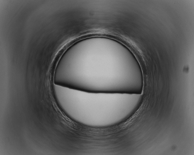 X0000100941318200806241153