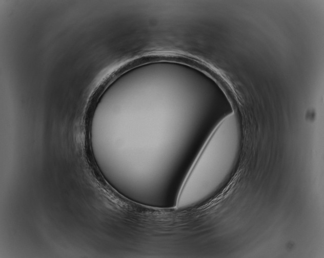 X0000100941319200806241153