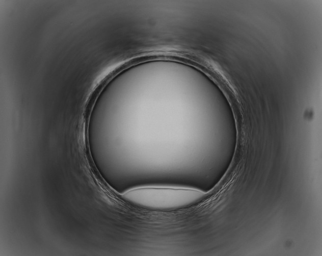 X0000100941320200806241153