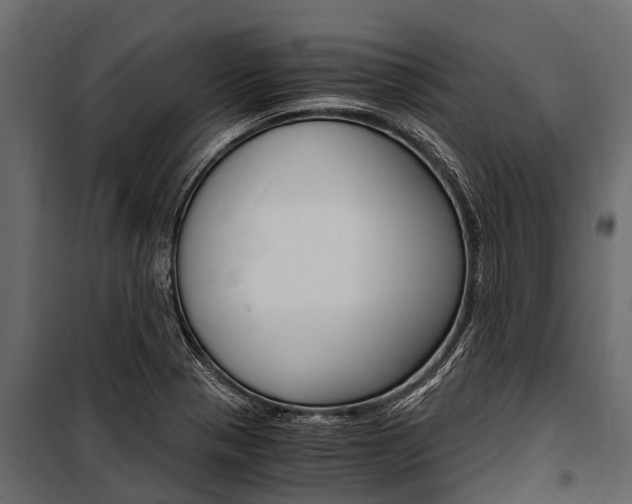 X0000100941321200806241153