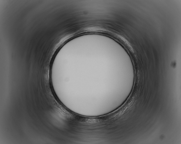X0000100941322200806241153