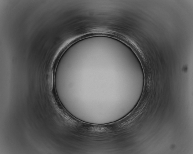 X0000100941323200806241153