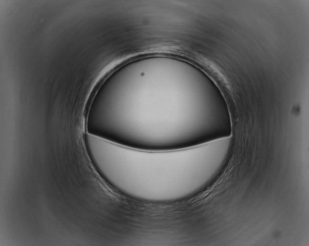 X0000100941324200806241153