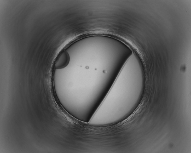 X0000100941325200806241153