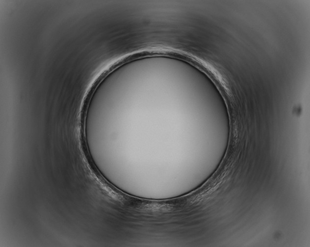 X0000100941327200806241153