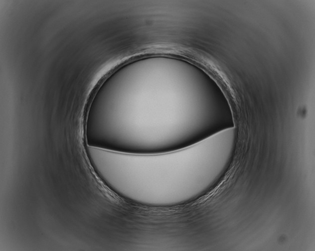 X0000100941328200806241153