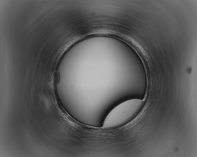X0000100941329200806241153