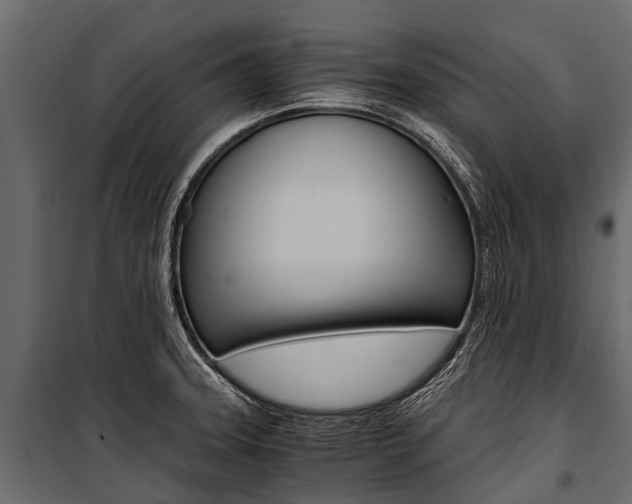X0000100941331200806241153
