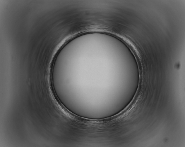 X0000100941333200806241153