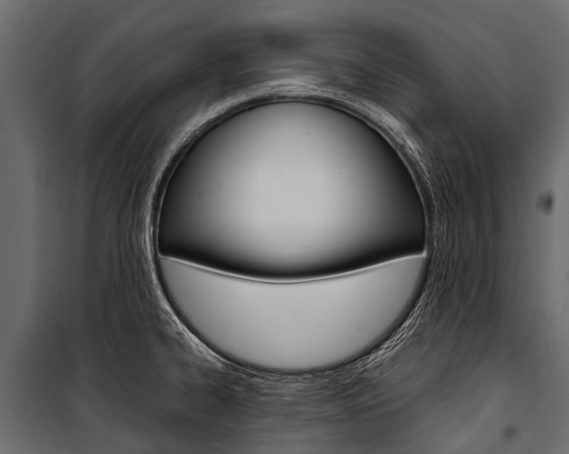 X0000100941334200806241153