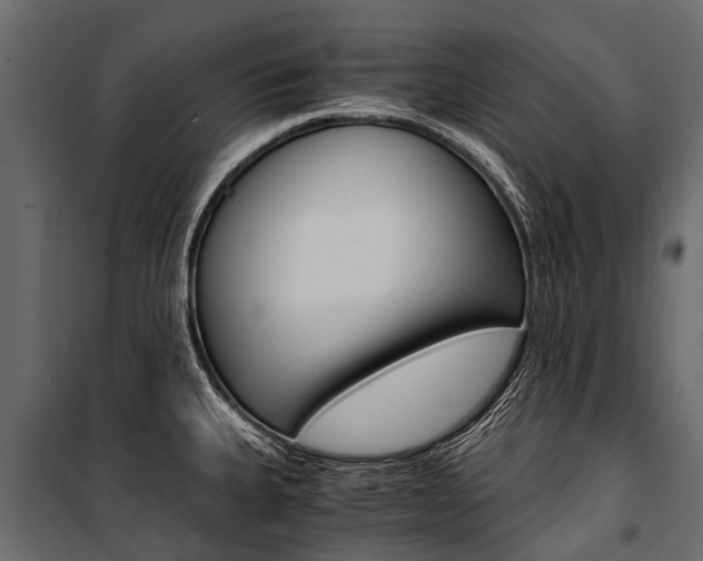 X0000100941335200806241153