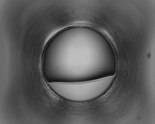 X0000100941336200806241153