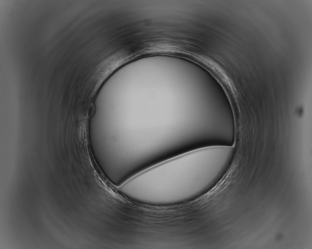 X0000100941337200806241153