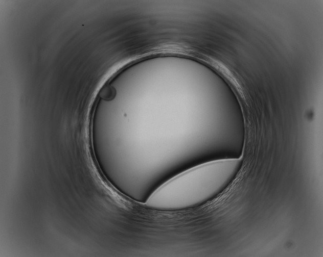 X0000100941339200806241153