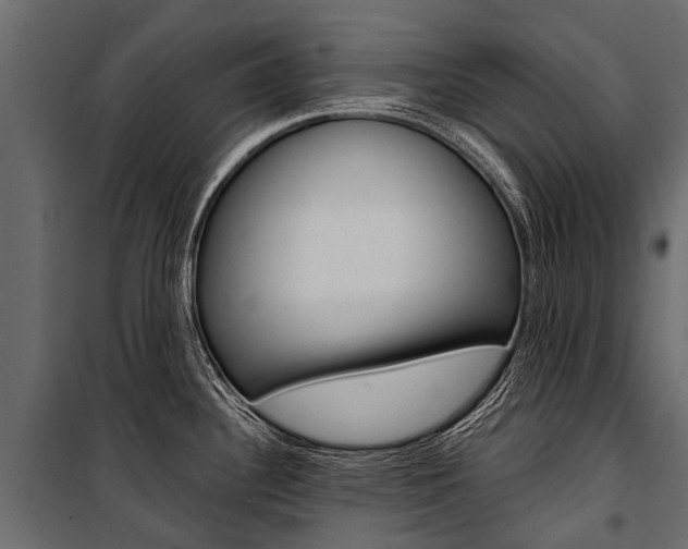 X0000100941340200806241153