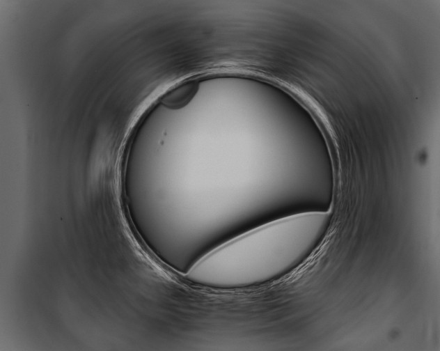 X0000100941341200806241153