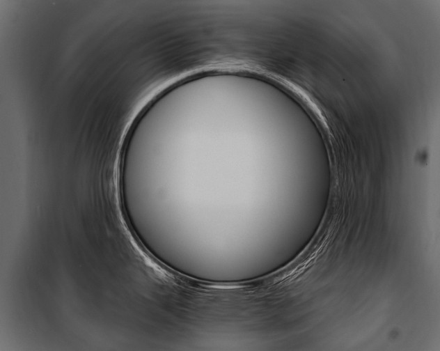 X0000100941343200806241153
