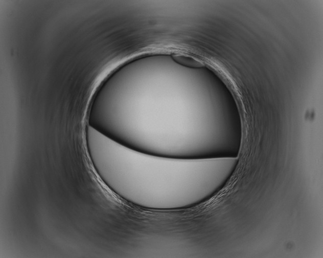 X0000100941344200806241153