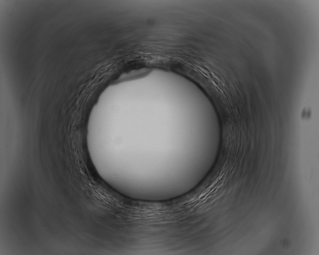 X0000100941345200806241152