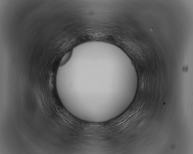 X0000100941346200806241152