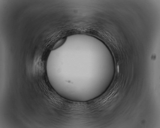 X0000100941347200806241152