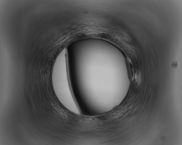 X0000100941348200806241152