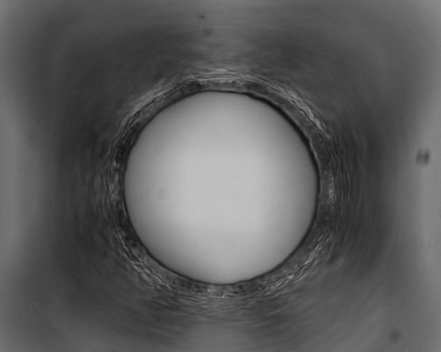 X0000100941350200806241152