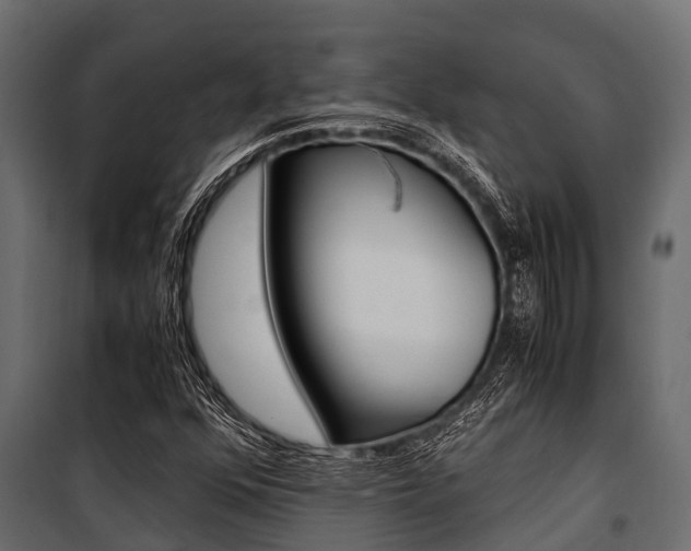 X0000100941352200806241152