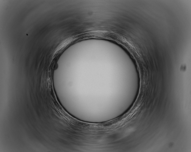 X0000100941354200806241152