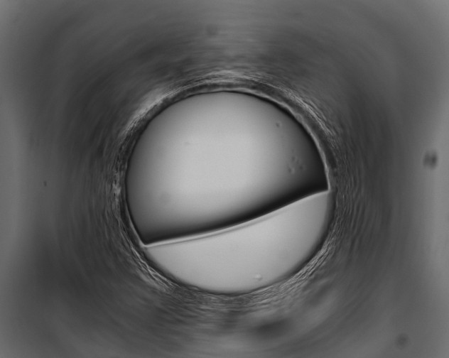 X0000100941355200806241152