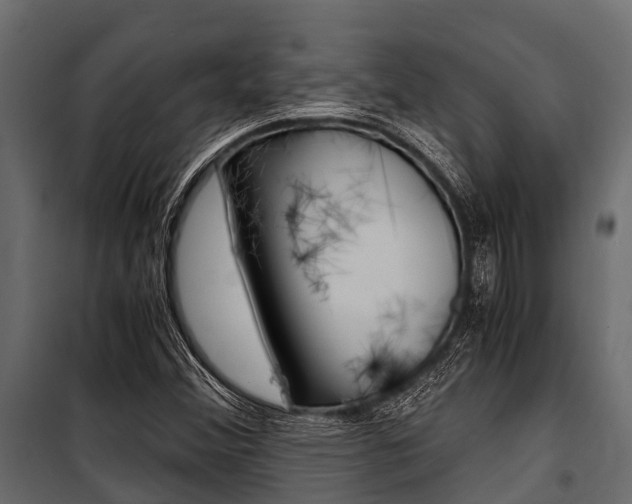 X0000100941356200806241152