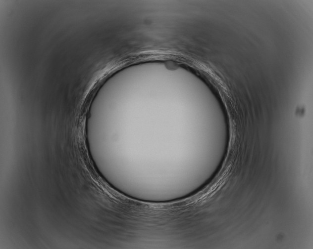 X0000100941357200806241152