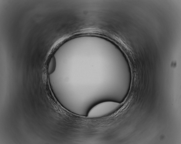 X0000100941358200806241152