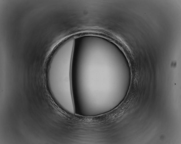 X0000100941360200806241152