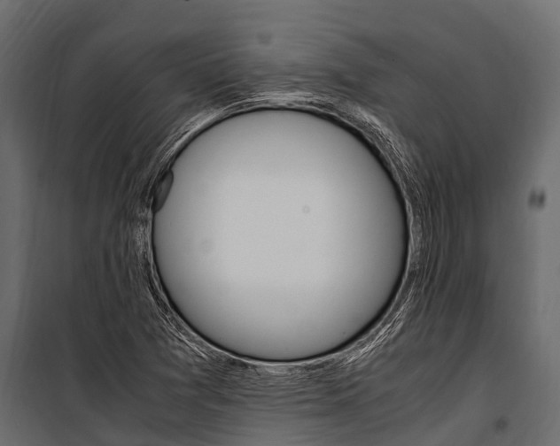 X0000100941361200806241152