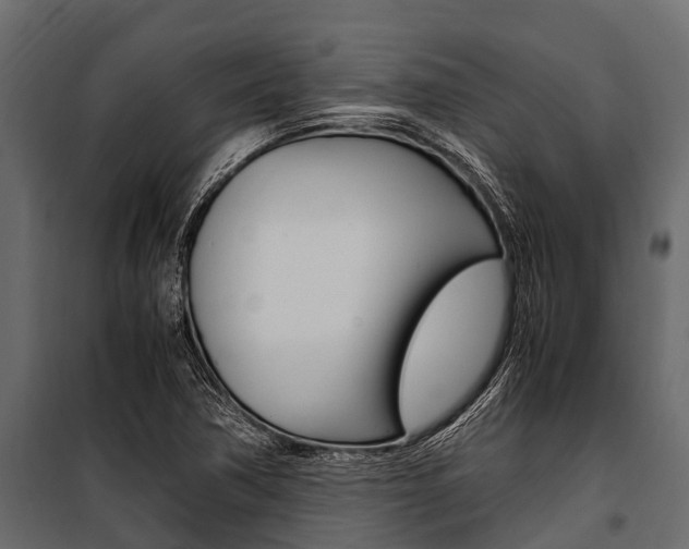 X0000100941362200806241152