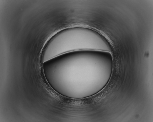X0000100941364200806241152