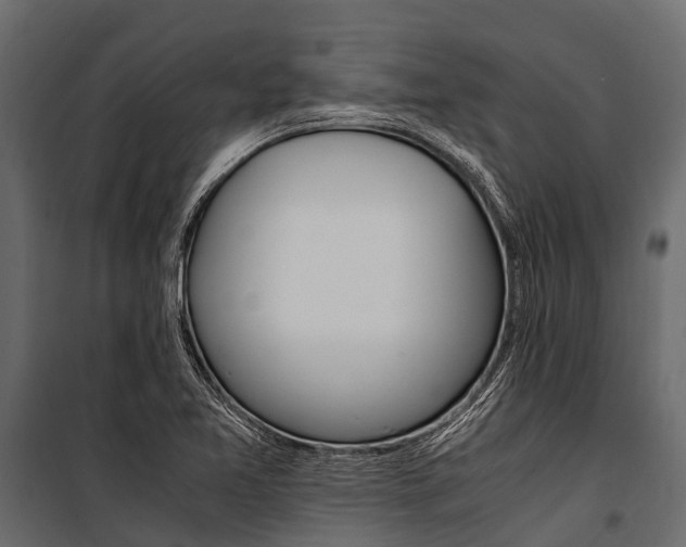 X0000100941365200806241152