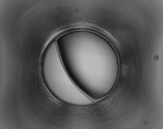 X0000100941368200806241152
