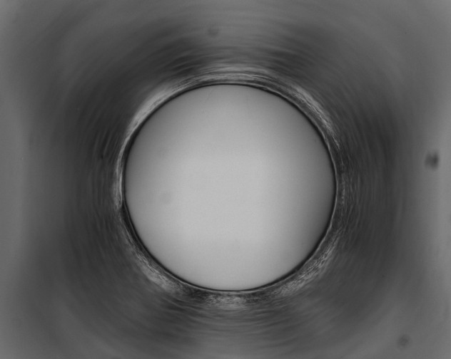 X0000100941370200806241152