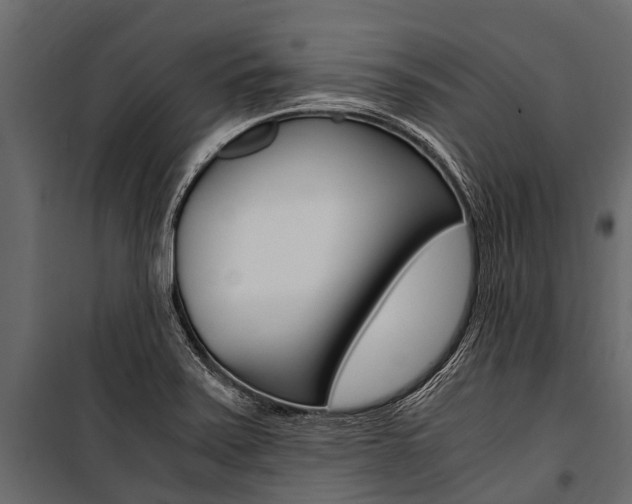 X0000100941371200806241152