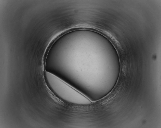 X0000100941372200806241152