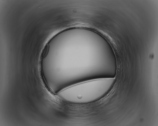 X0000100941375200806241152