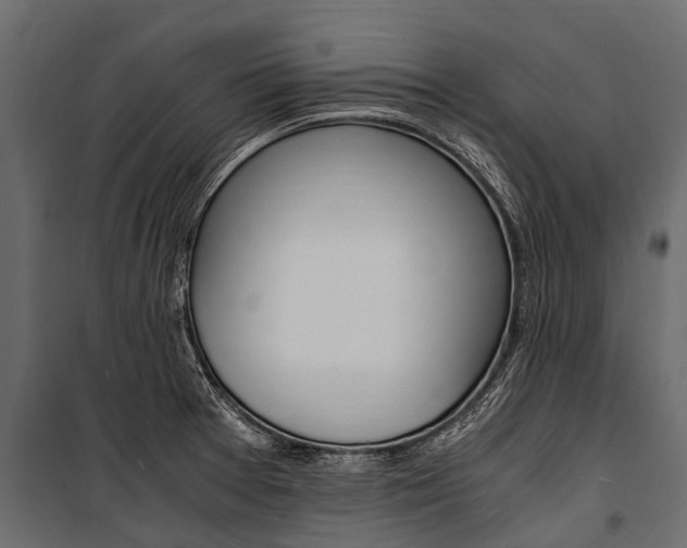 X0000100941377200806241152