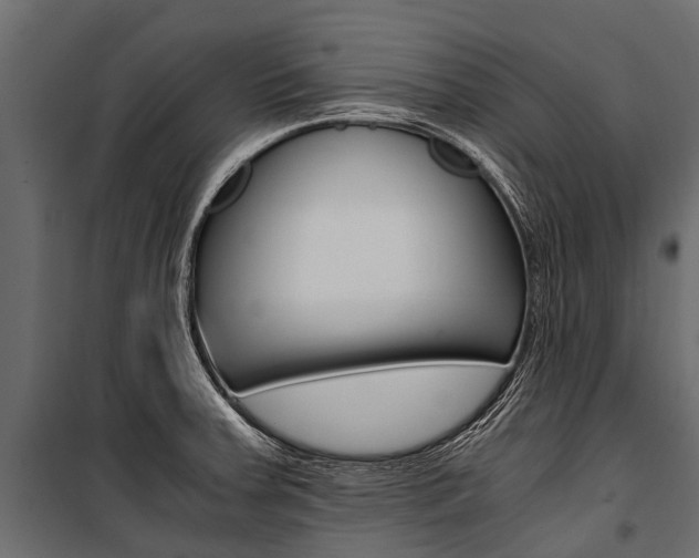 X0000100941379200806241152