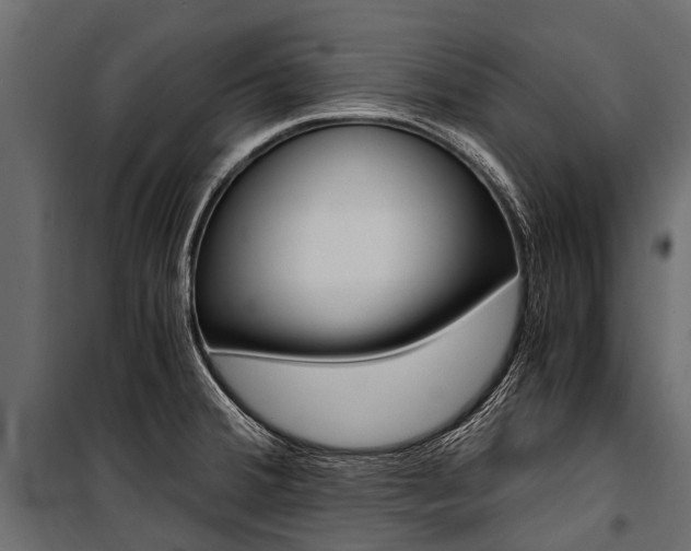 X0000100941380200806241152