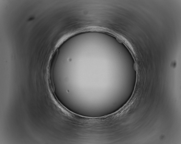 X0000100941381200806241152