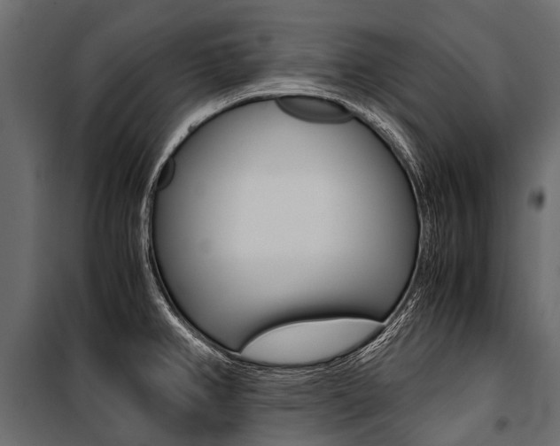 X0000100941382200806241152