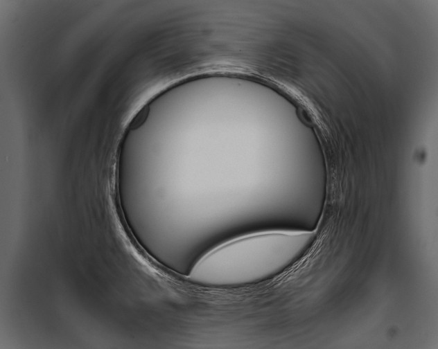 X0000100941383200806241152