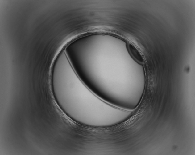 X0000100941384200806241152